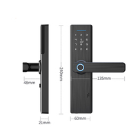 Serrure de porte intelligente extérieure en alliage d'aluminium OEM/ODM Ttlock Tuya App, contrôle à distance, empreinte digitale, carte, code, serrure intelligente sans clé Euro