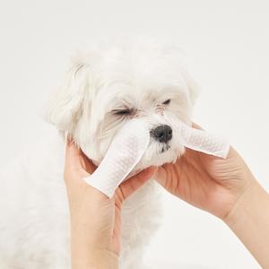 Hond Kat Hond Traanvlek Verwijderaar Huisdier Schoonmaak Doekjes Vingerkussentjes Voor Schone Hond Oog Doekjes Huisdier Benodigdheden - Product Image 1