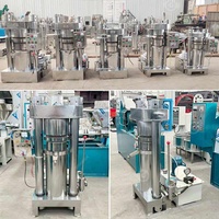 Avacado Palm Kernel Macadamia Soja Bean Petite presse à pression d'huile hydraulique manuelle Machine d'extraction