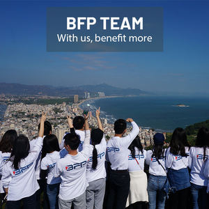 Bfp Modern Wardrobe Cabinet Clothes Design 2 Doors Solid Wood Wardrobe Direct from <span class=keywords><strong>the</strong></span> Factory - Product Image 3