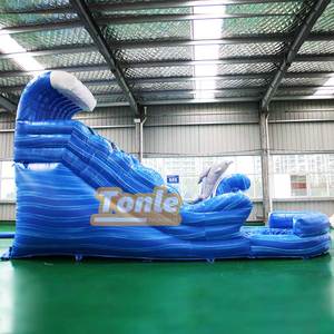 Trượt Nước Sóng Xanh Dương Trượt Cá Heo Bơm Hơi Đại Dương Có Bể Bơi Cho Trẻ Em - Product Image 5