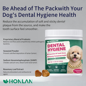Suplemento Bucal Certificado OEM para Mascotas - Controla la Placa, Refresca el Aliento, Suministro Directo de Fábrica, Golosinas Dentales Suaves para Perros y Gatos - Product Image 2