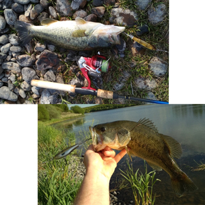 Nuevo molde de señuelo de pesca 90mm 110mm suave cola Stickbait flotante lápiz atraer Articifical cebo duro para Pike bajo - Product Image 6