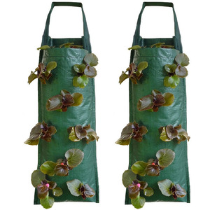 Sacs <span class=keywords><strong>de</strong></span> culture suspendus pour fraises et tomates <span class=keywords><strong>de</strong></span> jardin, pots <span class=keywords><strong>de</strong></span> plantes, conteneurs non tissés pour jardin vertical, sacs <span class=keywords><strong>de</strong></span> culture suspendus pour plantes - Product Image 1