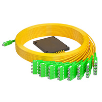 1x32 SC APC ABS Cassetted Fiber Optical Splitter PLC SM Single Mode Passive Optic Coupler Connector FTTH di Patch Panel ODF