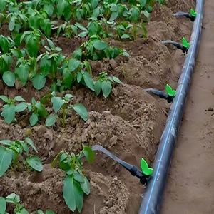 Tuyaux d'irrigation agricoles flexibles en PEHD à fusion bout à bout, diamètre <span class=keywords><strong>20</strong></span>-63 <span class=keywords><strong>mm</strong></span>, noirs, durée de vie 50 ans, 0,4-1,6 MPa, anti-corrosion - Product Image 6