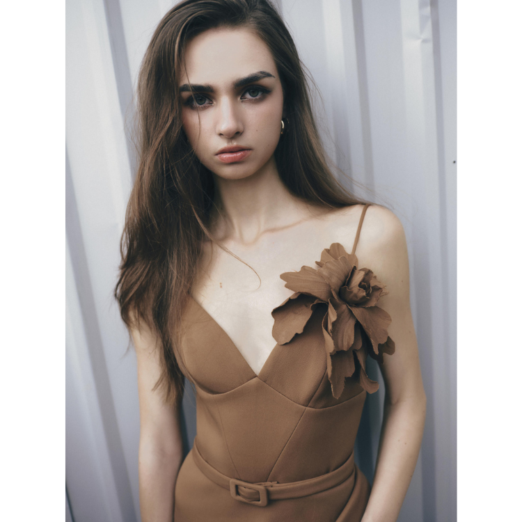 สีน้ำตาล