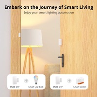 Sensor Zigbee SNZB-04P para Puertas y Ventanas, Monitoreo de Seguridad en el Hogar, Alerta de Manipulación, Notificación, Control Inteligente Local y con Alexa