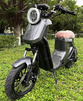 DISIYUAN Scooter électrique à deux places homologué pour la route avec une autonomie durable Type de produit Motocyclettes électriques