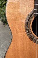 Aiersi Brand Supply Handmade Master Handmade Solid Cedar Top Classic Guitar with Armrest Design Glossy Vintage String Instrument