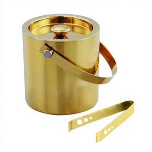 Seau à glace doré à Double paroi en acier inoxydable avec pince, seau à glace de fête avec ensemble de pinces - Product Image 1