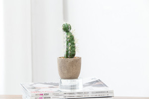 Nuevo diseño barato al por mayor lindo <span class=keywords><strong>cactus</strong></span> de pulpa de papel maceta artificial plantas suculentas bonsai para la venta - Product Image 5