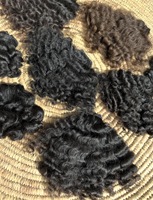 Cheveux naturels vietnamiens 100% humains, mèches de cheveux bruts bouclés birmans, meilleure qualité, prix d'usine en gros