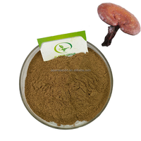 Poudre d'extrait de champignon Reishi HALAL 40% Bêta-glucane, Poudre de Ganoderma Lucidum pour compléments alimentaires santé