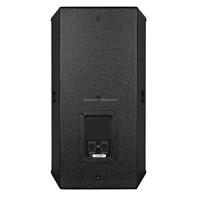 Haut-parleur PA passif à 2 voies CV3010 de 10 pouces, 300 W, haut-parleur à source ponctuelle professionnel pour installation commerciale