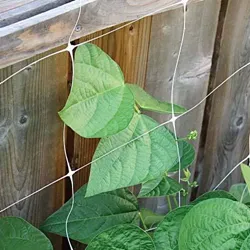 Rete in rete di plastica di supporto per cetriolo di pisello rampicante verde di alta qualità da 130mm