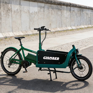 Bicicleta para Adultos Sports Cheetah-E con Llanta de Aleación, Almacén Europeo, UB-9031E - Product Image 1
