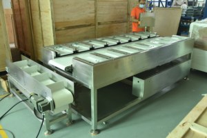 Machine de pesage automatique pour fruits, <span class=keywords><strong>l</strong></span>égumes et collations utilisée <span class=keywords><strong>dans</strong></span> les lignes de production alimentaire - Product Image 3