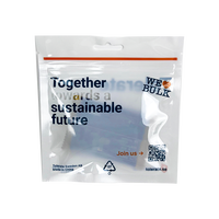 Gravure Printed Eco-Friendly Transparent Frosted PE Plastic Moisture Proof Three Side Seal Mylar Zipper Top Food Packaging Bags