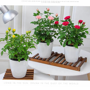 Usine En Gros Auto-Arrosage Pots <span class=keywords><strong>De</strong></span> Plantes <span class=keywords><strong>Grande</strong></span> <span class=keywords><strong>Taille</strong></span> Blanc Automatique Absorbant L'eau Plastiques Jardinières <span class=keywords><strong>De</strong></span> Fleurs pour La Maison Jardin - Product Image 5