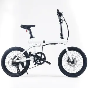 20英寸轮辐电动自行车，带轻型欧盟标准电动自行车，2022 250瓦电动自行车，带电池