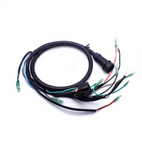 66T82590 Mesin Kapal Yamaha 2 Tak 40HP Rakitan Kabel Harness dengan Inti Tembaga Isolasi PVC Konektor Adaptor