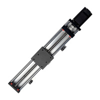 Module d'actionneur linéaire à vis à billes KNK, double axe optique, course 50-800 mm, actionneur linéaire pour table coulissante de robot CNC