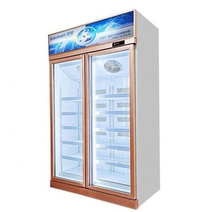 <span class=keywords><strong>Congélateur</strong></span> <span class=keywords><strong>vertical</strong></span> à double porte en verre pour la présentation de la crème glacée - Product Image 1