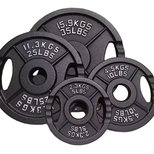 Discos de Pesas de Acero para Gimnasio en Casa, con Logotipo Personalizado, Portátiles, con Protección de Goma - Product Image 1