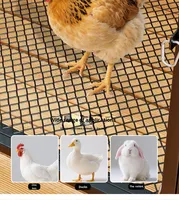 Article populaire : Poulailler spacieux et durable, cage à poulets
