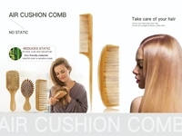 Vente directe d'usine Style moderne Massage du cuir chevelu brosse à cheveux Air Paddle sanglier brosses de bain éponges épurateurs pour l'application de la tête
