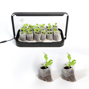 Bolsas <span class=keywords><strong>de</strong></span> plántulas no tejidas degradables ecológicas <span class=keywords><strong>de</strong></span> Color blanco PE Plantación <span class=keywords><strong>de</strong></span> <span class=keywords><strong>aguacate</strong></span> Bolsa <span class=keywords><strong>de</strong></span> vivero <span class=keywords><strong>de</strong></span> plástico bolsas <span class=keywords><strong>de</strong></span> cultivo para plantas - Product Image 3