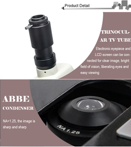 <span class=keywords><strong>Phenix</strong></span> PH100 Série 40x-1600x Microscope binoculaire biologique polyvalent pour la médecine hospitalière et le laboratoire - Product Image 5