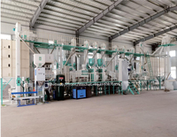 MMJP – raboteuse de riz blanc, Machine de tri, trieuse de couleur, à vendre