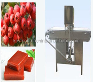 Customized Automatic Fruit Leather Making Machine Core Components Featuring Pump Motor Gear Bearing for <strong>Vegetable</strong> <strong>Products</strong> - Product Image 3