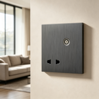 Prise murale OEM pour bureau à domicile, 1 prise TV 2 broches, gris brossé, vente en gros