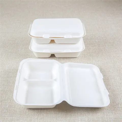 6x6 Bagasse Container - Restaurant Supply Store Manufacturer