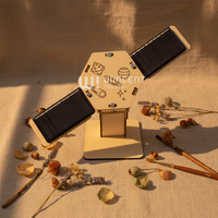 Wincent - Rompecabezas 3D de Madera para Armar, Modelo de Satélite con Energía Solar, Kit Educativo STEM de Aeroespacial, Juguete Científico, Regalo
