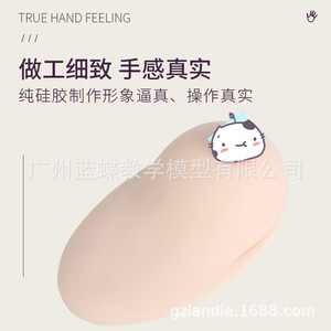 Sein artificiel en silicone souple de grande taille pour la formation des conseillères en lactation, les écoles professionnelles de services domestiques, les hôpitaux - Product Image 2