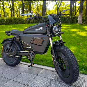 Vélo électrique à pneus larges de 20 pouces 2025 avec moteur arrière sans balais Bluetooth NFC 60V intégré, vélo de ville au lithium - Product Image 3