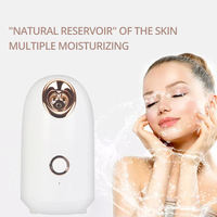 Appareil de soin hydratant pour le visage, type plug-in, léger et compact, avec finition dorée élégante