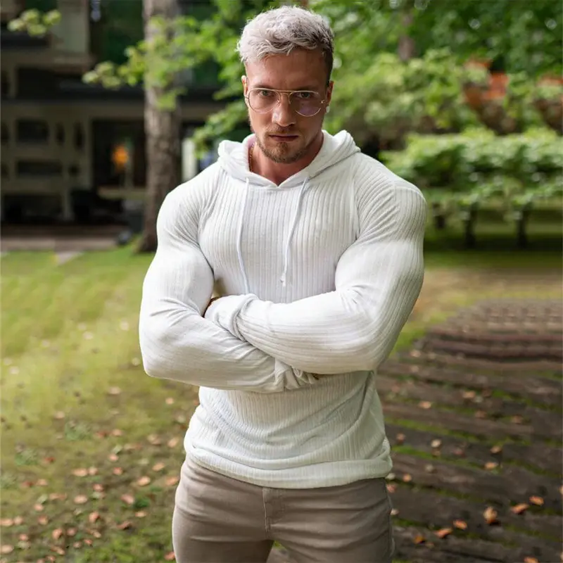 Spring Men Fit Solid Color Pullover Striped Long Raglan Sleeve Sweater for Men Gym Wear Hoodie