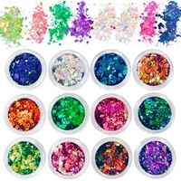 Glitter Sequin Kuku 12 Warna Chameleon Cross-Border Super Flash Laser Aurora PET Ultra Tipis Set DIY