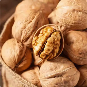 Nueces Orgánicas Premium de Primera Calidad, Cortadas en Rodajas, Dulces y Ligeras, Frutos <span class=keywords><strong>Secos</strong></span> y Nueces para Exportación, Venta al Por Mayor de Fábrica - Product Image 1