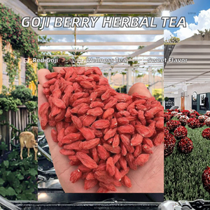 Thé de santé aux herbes chinoises Goji, supplément de goji rouge fraîchement transformé, en vrac, en boîte, qualité supérieure, 500g - Product Image 2