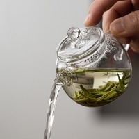 Mini 150ml/5oz théière en verre borosilicaté infuseur bouilloire résistant à la chaleur poêle nordique clair bouillant Pot de fleur pour un ensemble de boîte