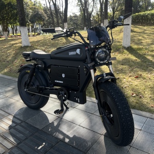Black Mountain Bike Aluminum 3-Speed 60V 50Ah Removable <b>Battery</b> -SS10 20-Inch Sporty Wide Tires Ss10 Original Manufacturer Free - Product Image 3