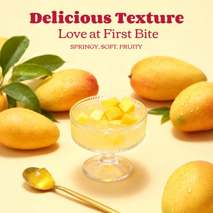 Complément Alimentaire Minceur au Konjac Saveur Mangue Naturel Faible en Sucre pour Adultes, Marque Blanche, Vitamine C, pour la Remise en Forme et le Remodelage Corporel - Product Image 2