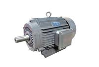 Moteur à courant alternatif triphasé haute efficacité IE4 à cage d'écureuil YE4-315L2-4 200KW 270HP, protection IP55, antidéflagrant, montage sur pied, 50Hz