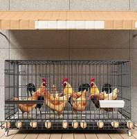 Cage à poules domestique grande capacité pour l'élevage de canards, oies, cailles avec plateau à œufs, installation facile, cage à poules en fer
